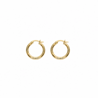 Gold Plated Stainless Steel 15mm Hoop Earrings