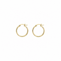 Gold Plated Stainless Steel 20mm Hoop Earrings