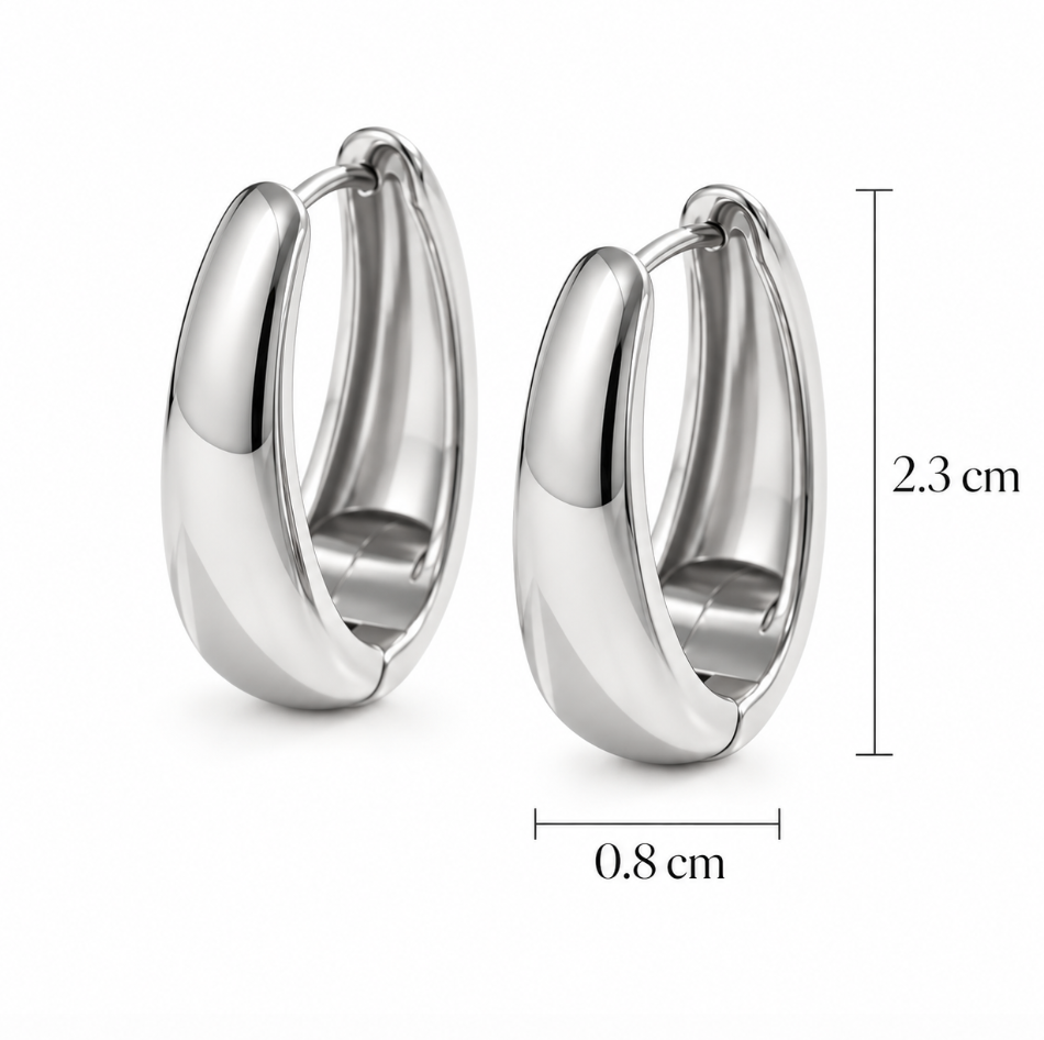 Silver Plated Stainless Steel Crest Earrings - Image 3