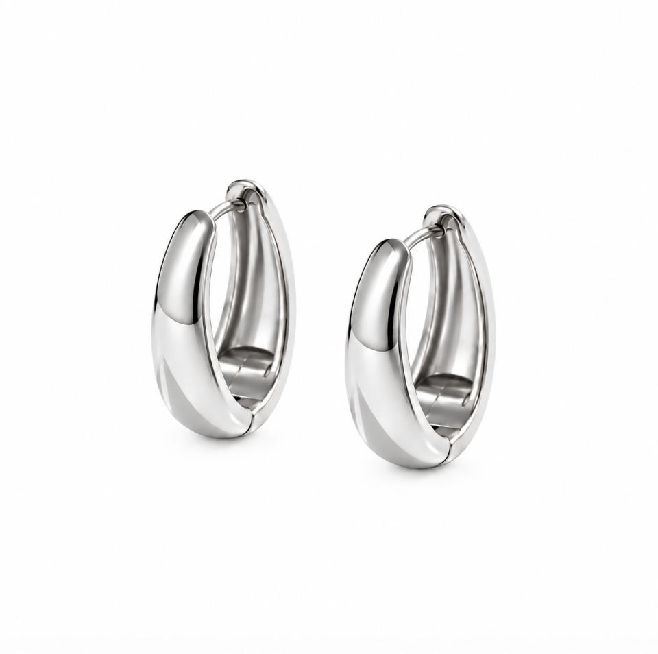 Silver Plated Stainless Steel Crest Earrings